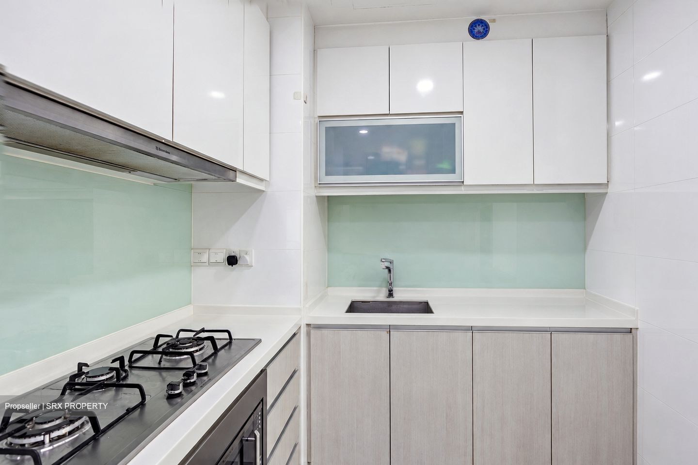 The Canopy (D27), Condominium #639095421